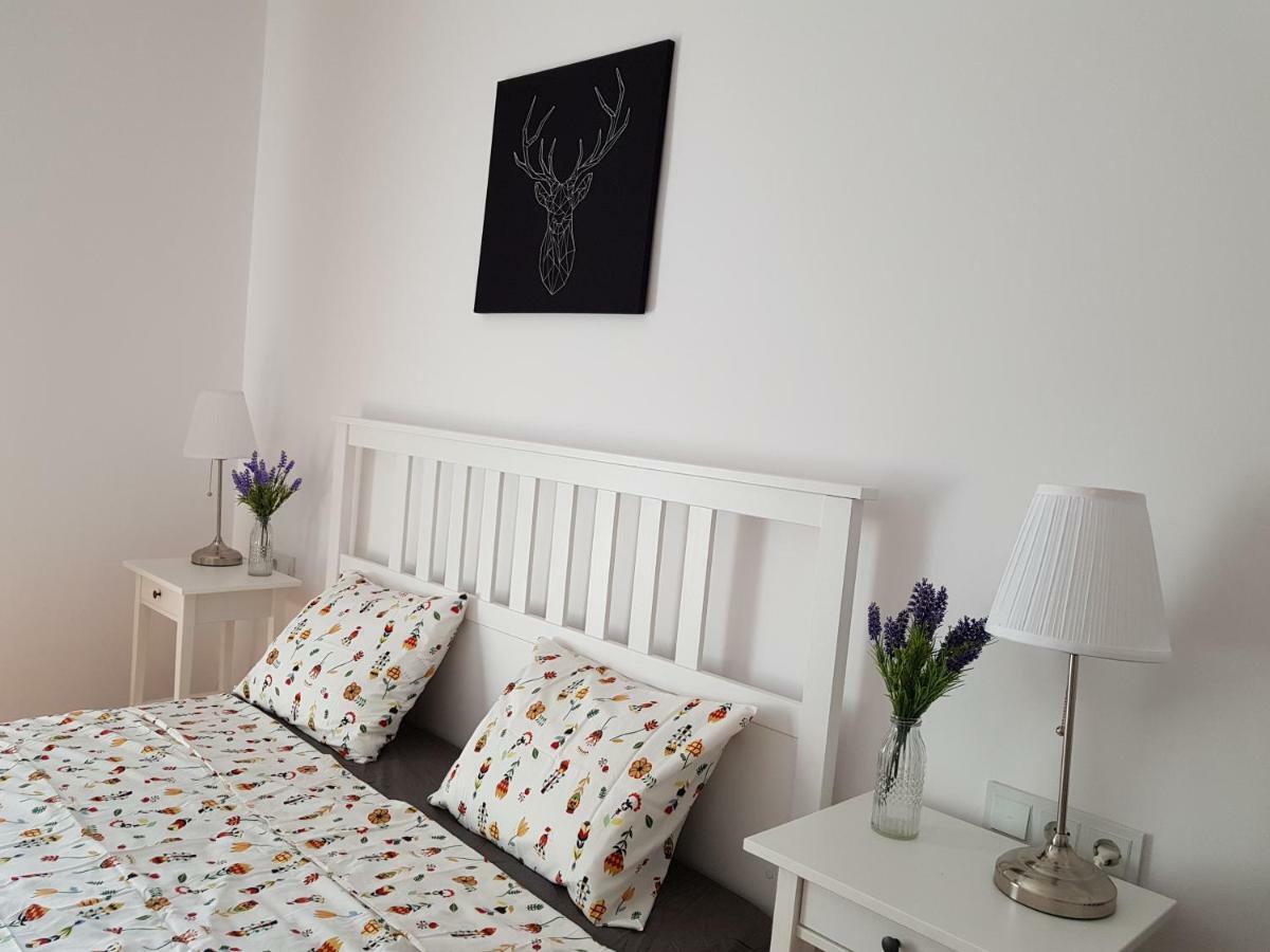 Oberiter Apartments - Center Of Zagreb, Fast Wifi, Ac, Kitchen, Parking エクステリア 写真